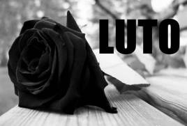 #descrição pra todos verem; Uma rosa preta com fundo cinza sobre uma mesa